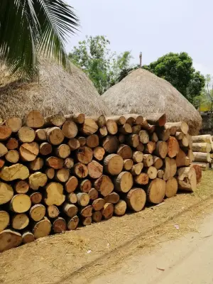 Kayu Bakar 1 Pick Up