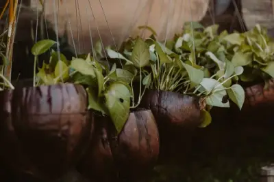 Pot Gantung Batok Kelapa