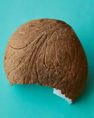 Batok Kelapa Utuh Bahan Kerajinan