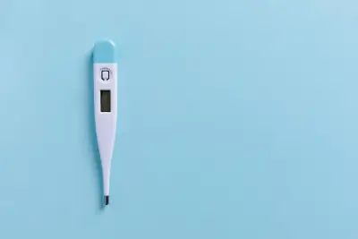 Termometer Digital