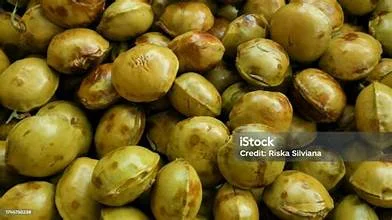 Jengkol