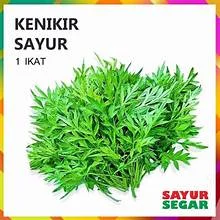 Kenikir