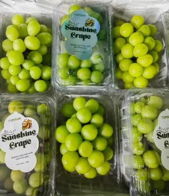 Anggur Muscat