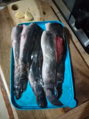 Lele fillet