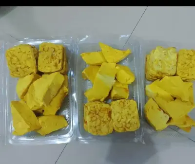 Tahu tempe marinasi
