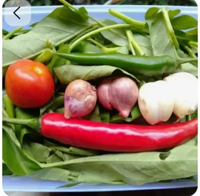 Paket Tumis Kangkung