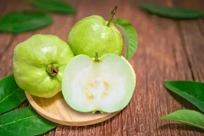 Jambu Kristal Segar