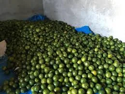 Jeruk Peres Fresh