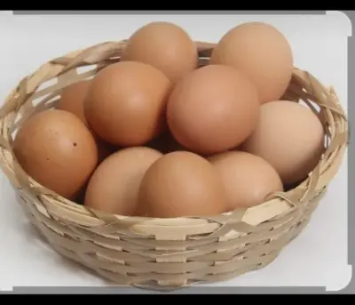 Telur ayam