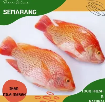 Nila Merah
