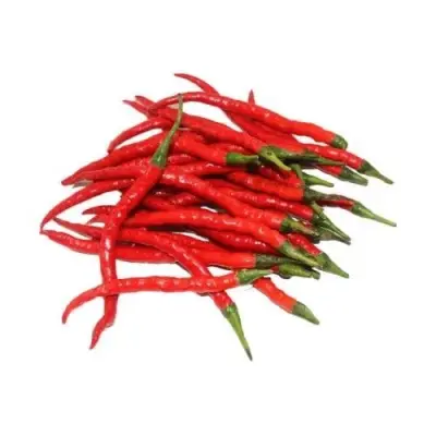 Cabe kriting merah