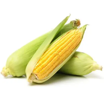 Jagung manis