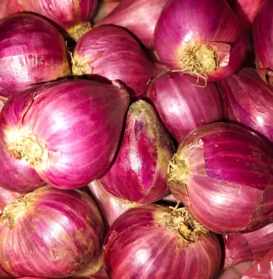 Bawang Merah Brebes
