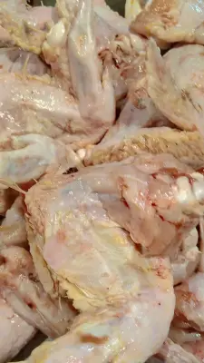 Ayam sayap Produk Baru #9797
