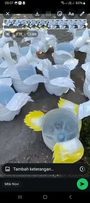 pot ANGSA