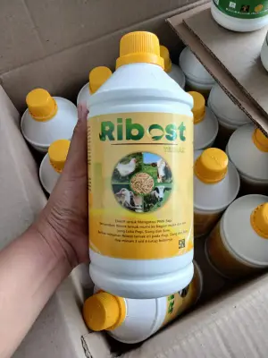 POC RIBOS KUNING