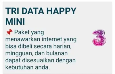 Paket data internet 3