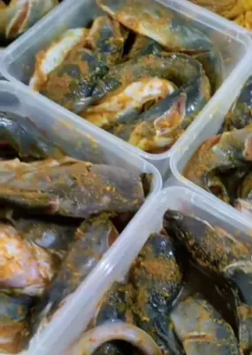Ikan lele marinasi siap goreng