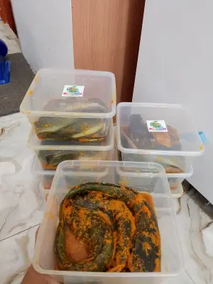Lele Marinasi 500 gr