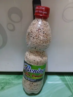 Bening Perkutut racikan madura