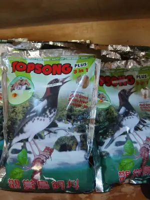 Pakan Burung Top Song