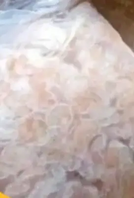 Udang kupas