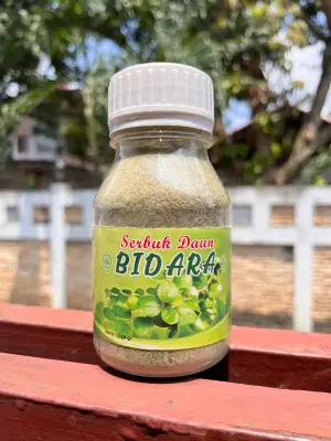 Serbuk bidara Arab sidr