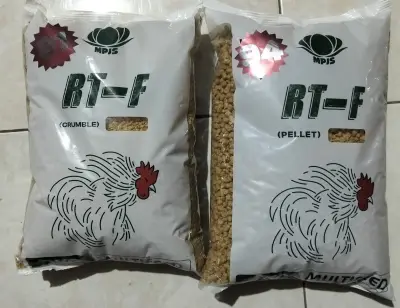 Pakan Ayam R-TF