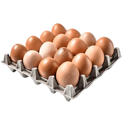 Telur ayam