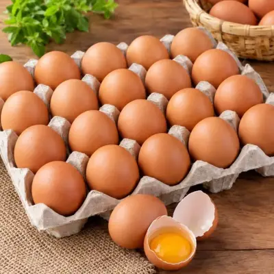 Telur Ayam