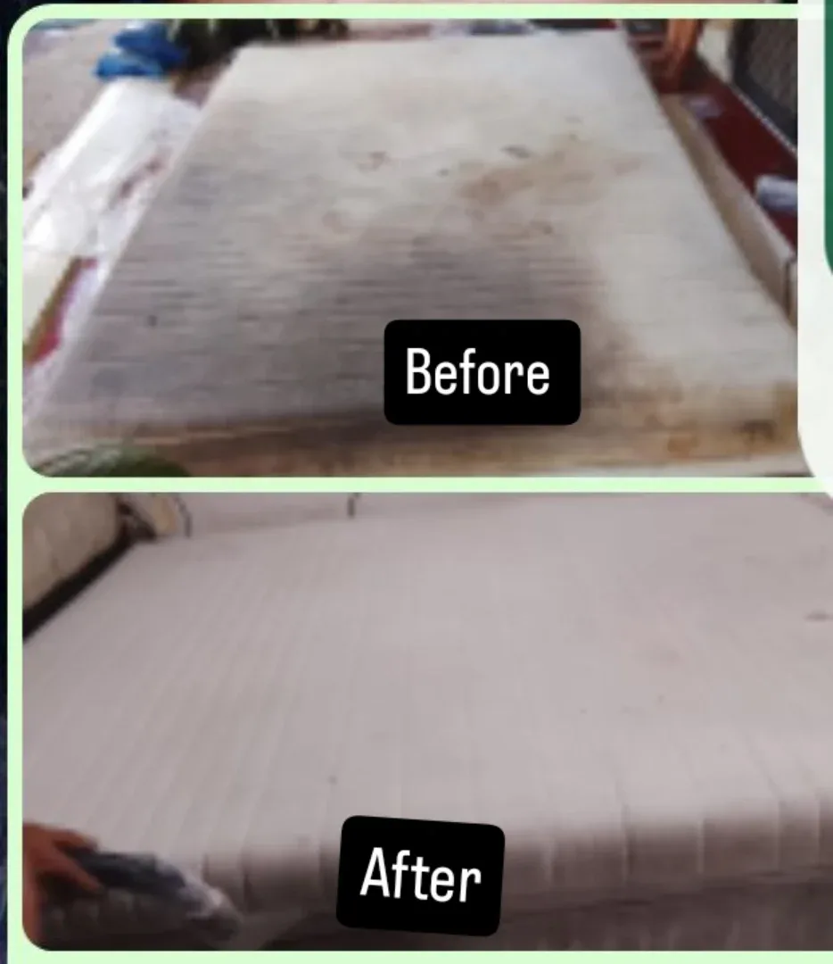 Cuci Spring Bed