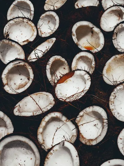 Batok Kelapa Belah Bersih