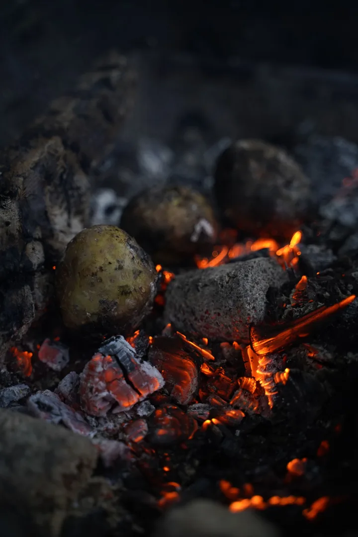 Ubi Cilembu Bakar Arang 1 kg