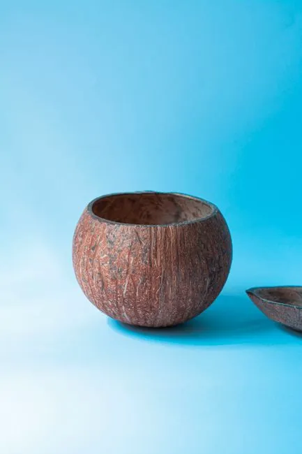 Mangkok Batok Kelapa Polos