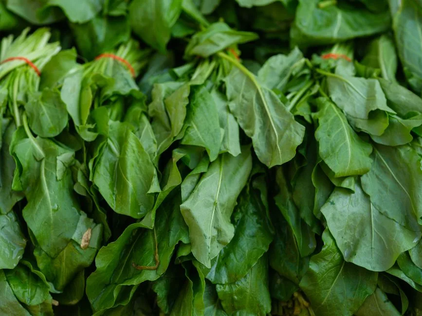 Kangkung Segar