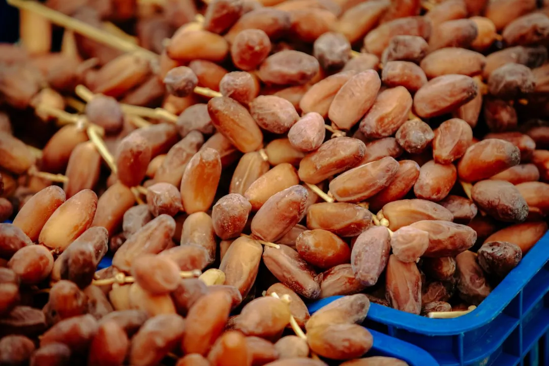 Kurma Tunisia Curah 1 kg