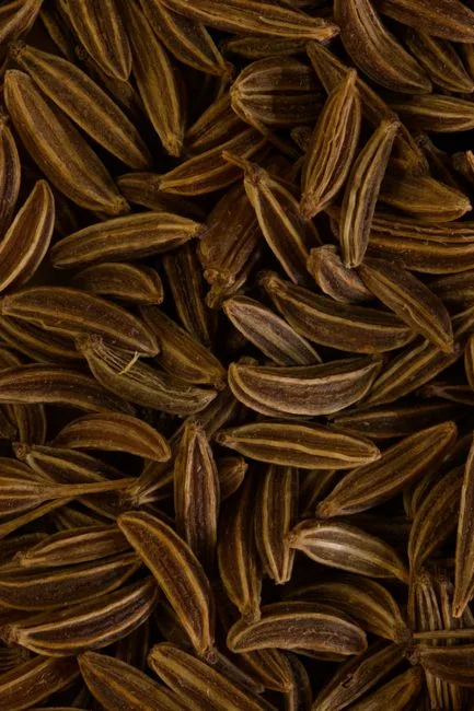 Jinten Biji