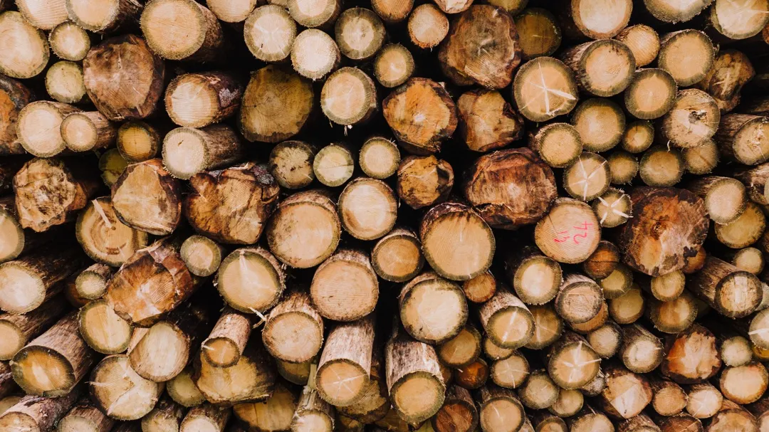 Kayu Gelondongan / Log