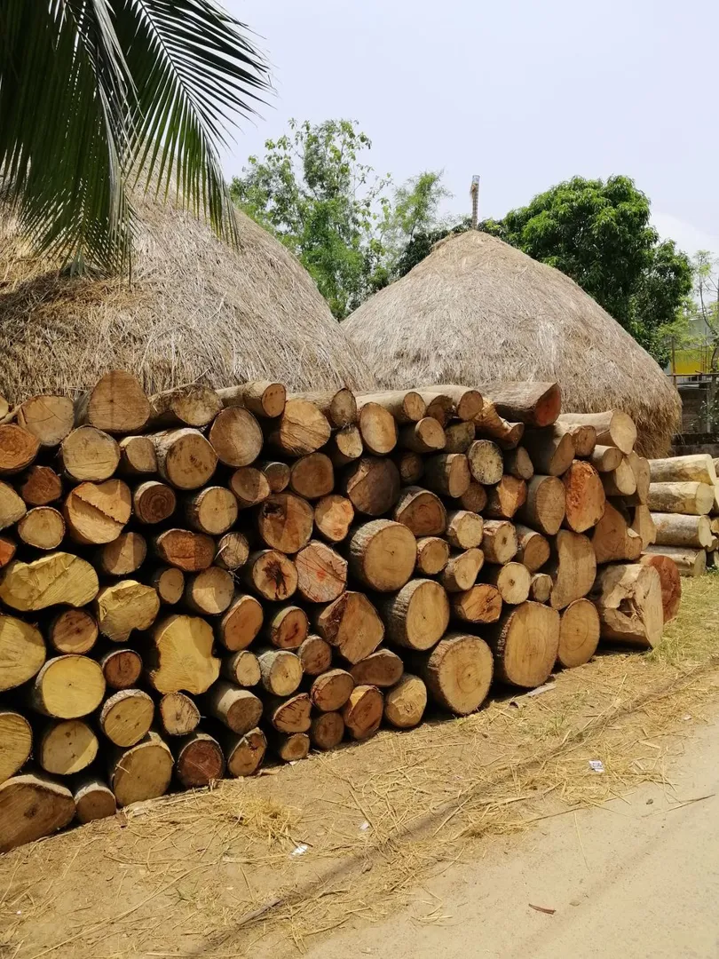 Kayu Bakar 1 Pick Up
