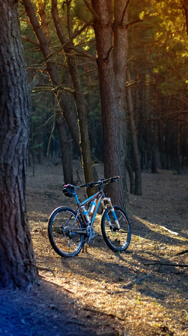 Sepeda Gunung Hardtail