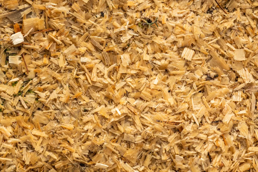 Serbuk Gergaji (Karung)