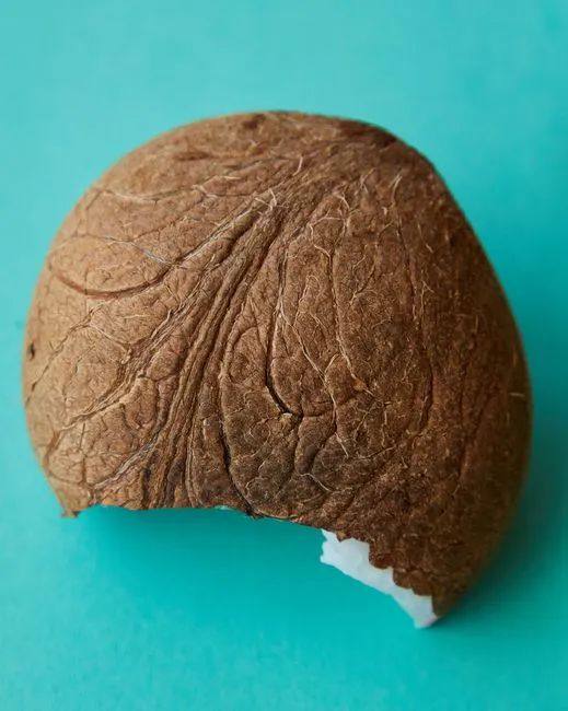 Batok Kelapa Utuh Bahan Kerajinan