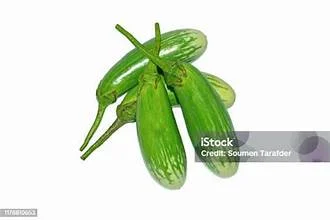 Terong Hijau kecil