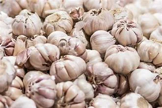 Bawang Putih kemasan 1kg d atas 20kg hrg glosir