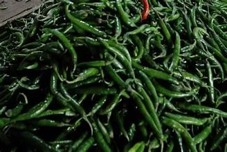 Cabe Hijau