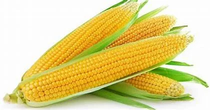 Jagung Manis kemasan isi 3