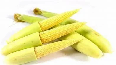 Jagung Muda