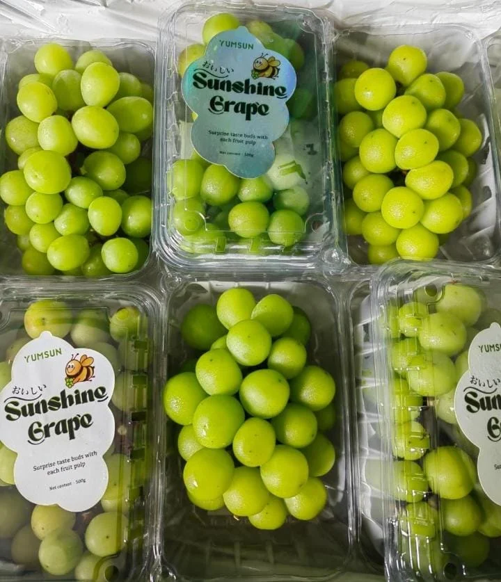 Anggur Muscat