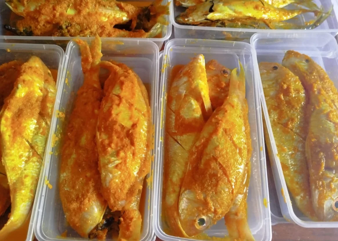 Ikan