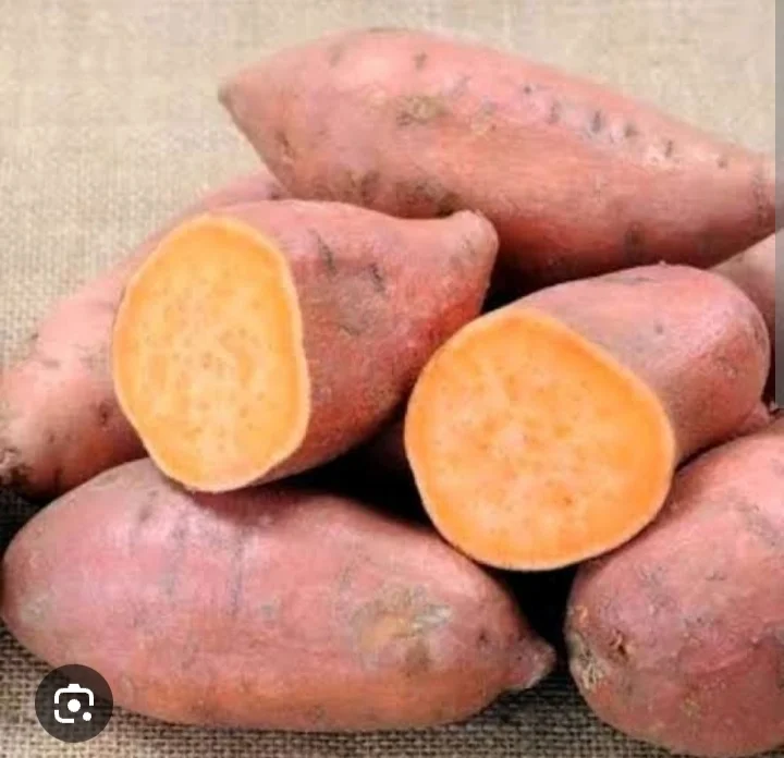 Ubi Jalar Orange